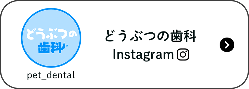 どうぶつの歯科Instagram