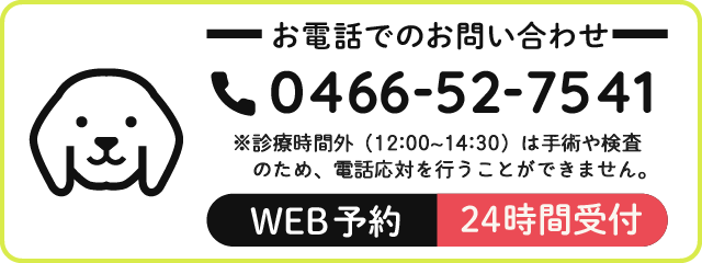 お電話でのお問い合わせ 0466-52-7541 web予約 24時間受付