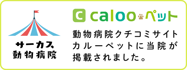 caloo ペット 動物病院クチコミサイトカルーペットに当院が掲載されました。