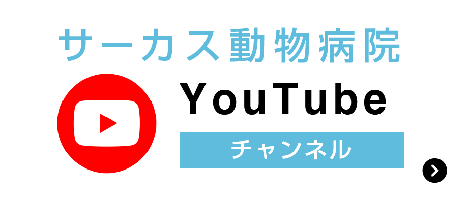 サーカス動物病院 YouTubeチャンネル