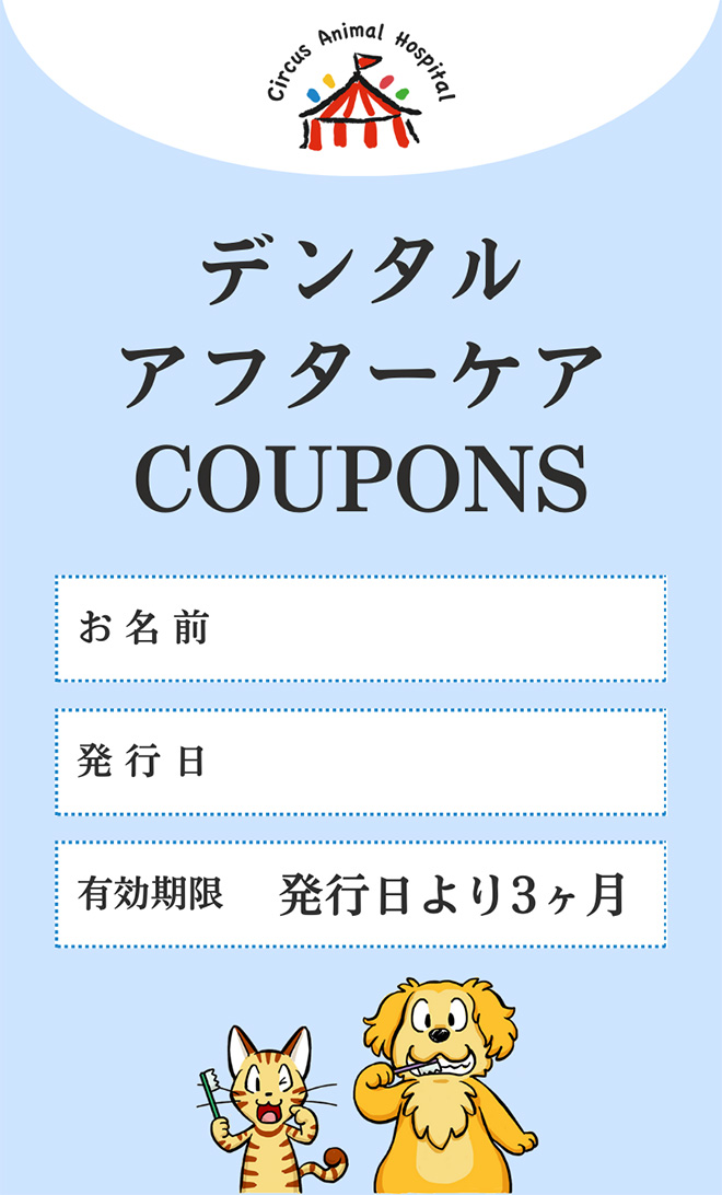 歯磨き2coupons