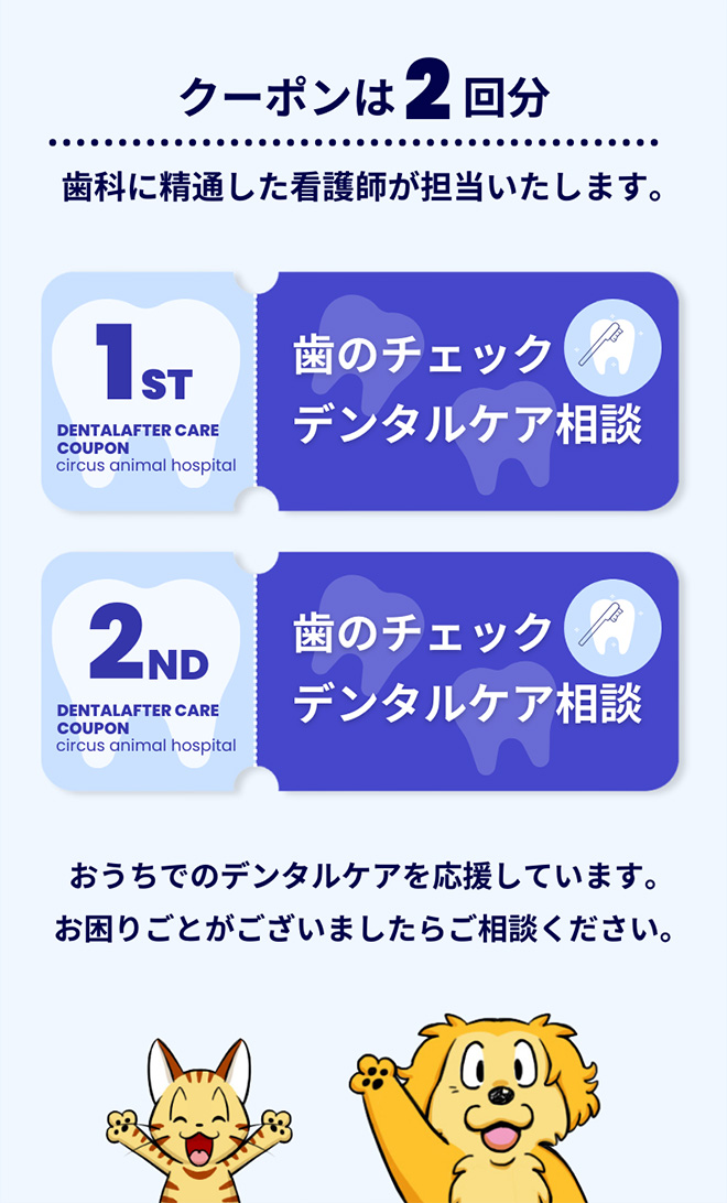 歯磨き2coupons