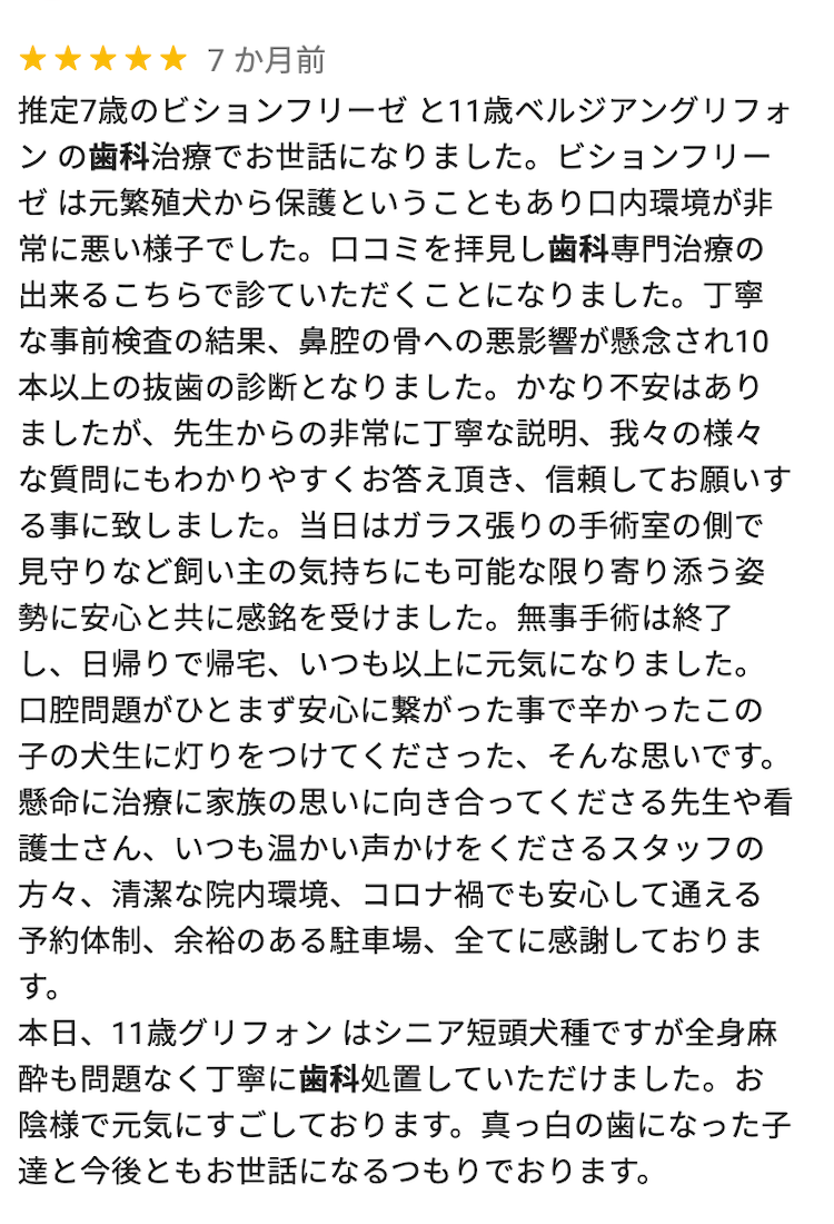 お客様の声