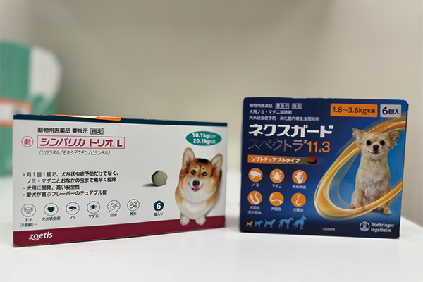 感染予防